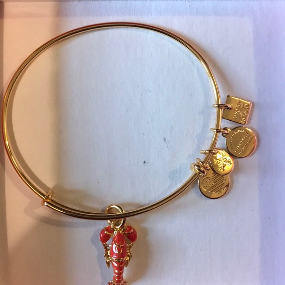 Alex & Ani bracelet - Picture 1 of 2